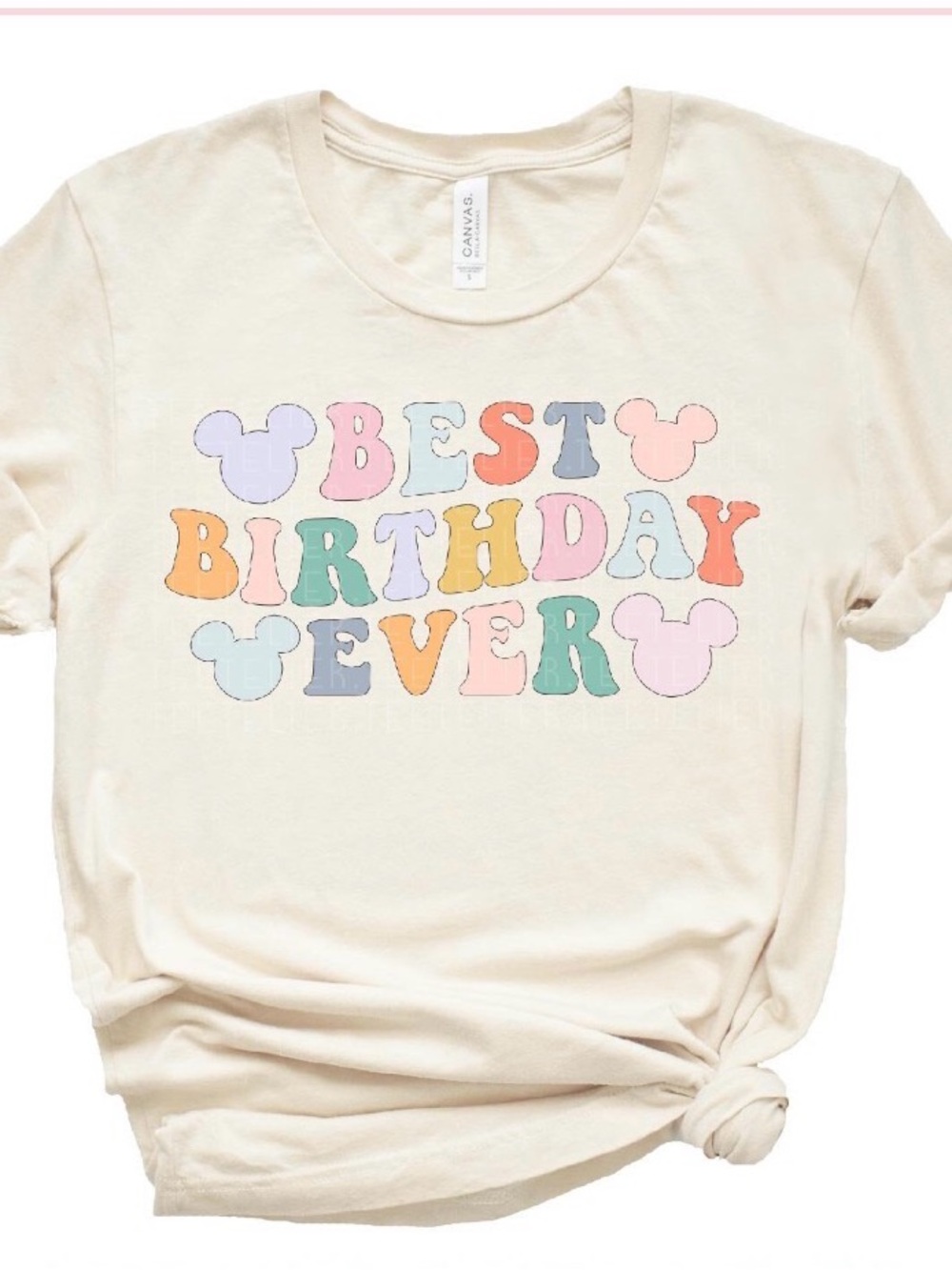 Disney Best Birthday Ever Retro Graphic Tee Light Cream 2XL